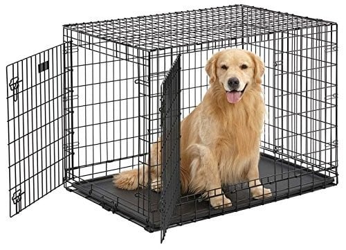 dog cage